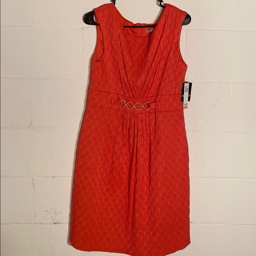 Sandra Darren NWT orange crinkle knit dress